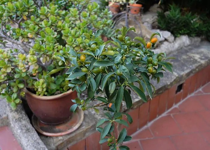 Rita Sea Front View - Parcheggio Gratuito In 4* Sanremo