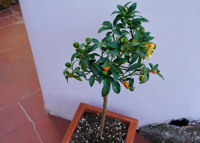 Rita Sea Front View - Parcheggio Gratuito In Guest house Sanremo